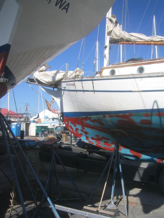 gal/New Boat/IMG_3818.jpg